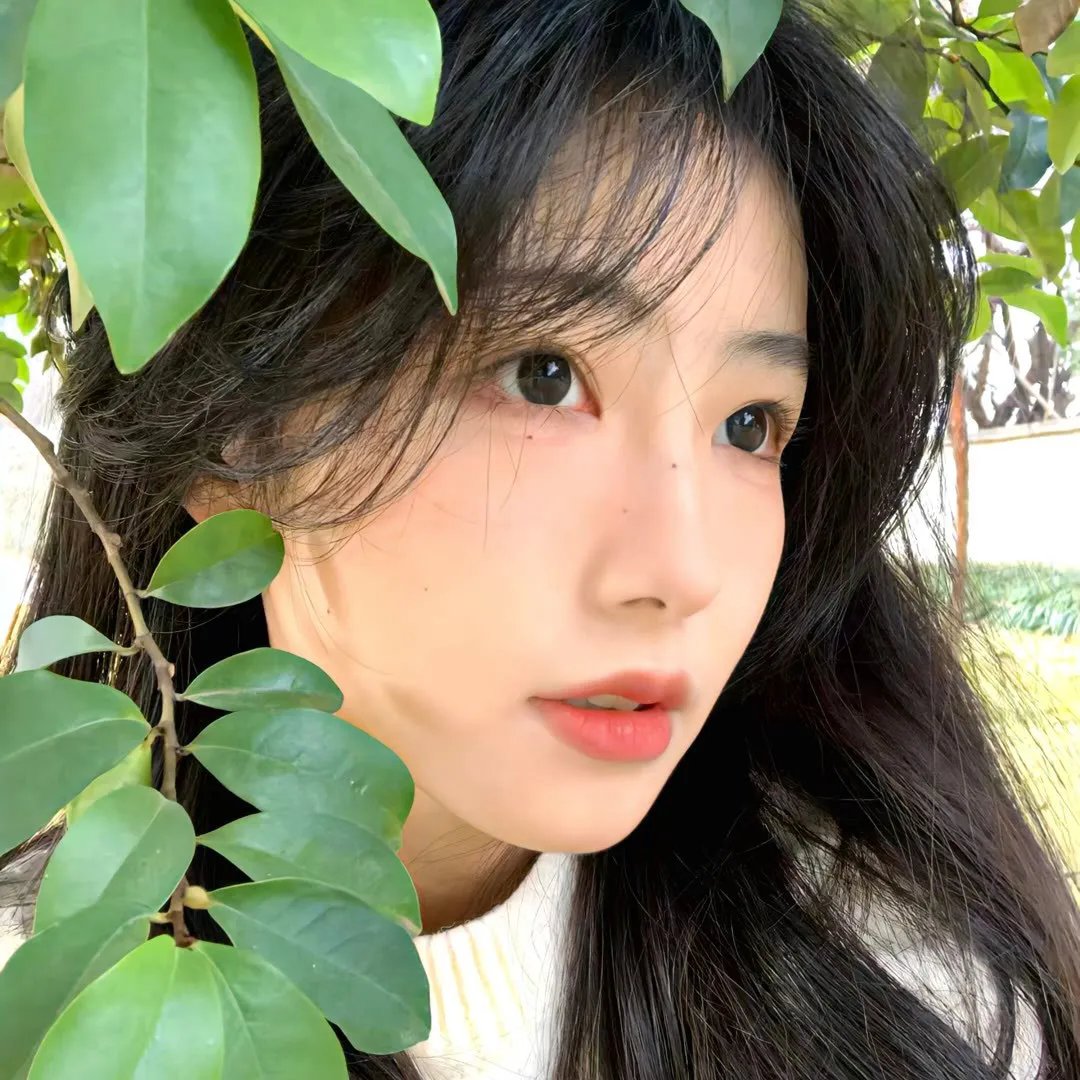 宝贝赳赳第五季